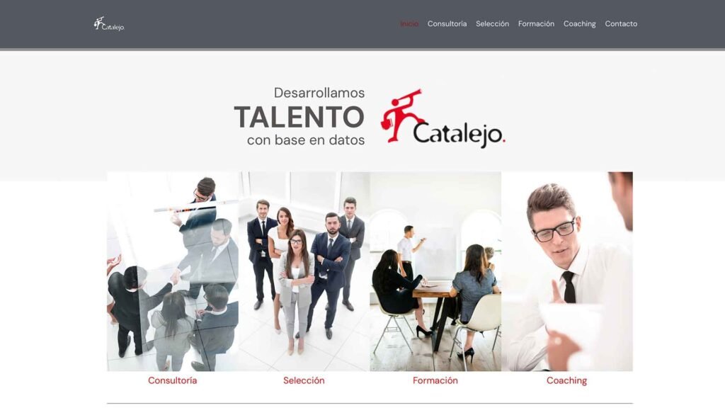 diseno web catalejocorp