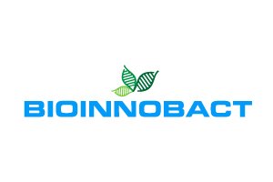 diseño de logo, diseño de marca