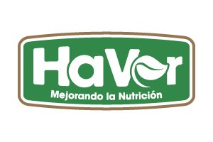 diseño de logo, diseño de marca