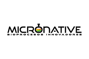 diseño de logo, diseño de marca